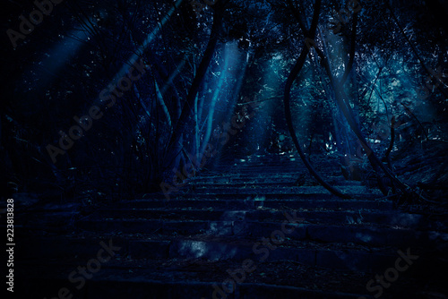 Stair in night forest