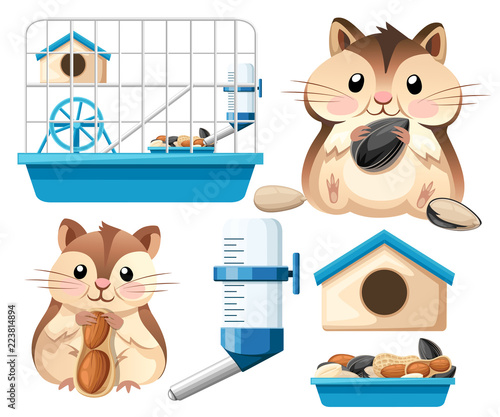 Hamster icon collection. Cute hamster sit and holding a sunflower seed, and nut. Hamster cage, wheel and automatic drinker. Cartoon character design. Flat vector illustration on white background