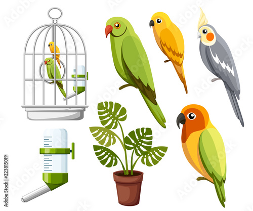 Set of parrots. Cage with birds, water drinker and flower pot. Cartoon style icons. Flat vector illustration isolated on white background