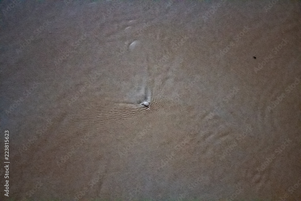 A small white crab in the shallows of Karon Beach, Phuket Thailand.