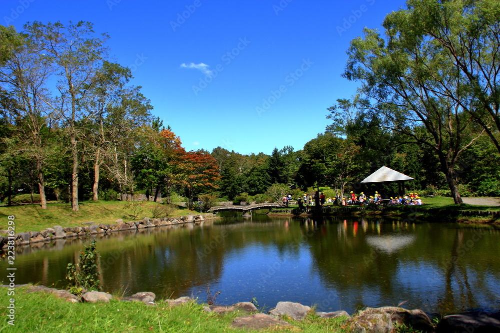 Fototapeta premium 札幌の公園の日本庭園の風景
