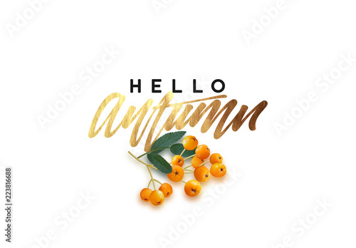 Hello Autumn