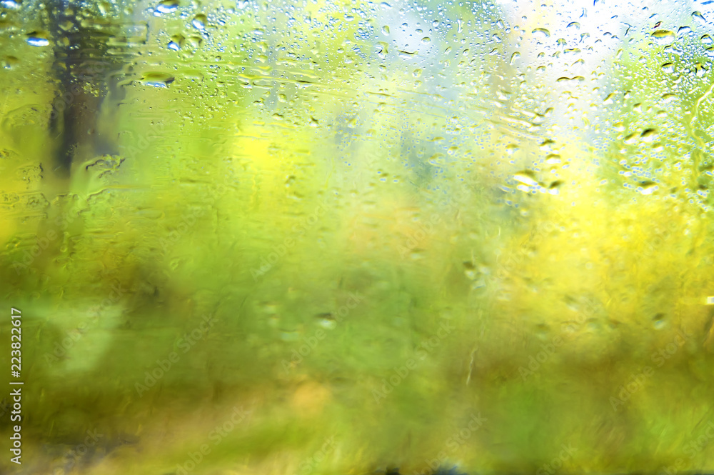 Drops of rain on a window. Blur autumn yellow forest in background. Autumnal rainy landscape.