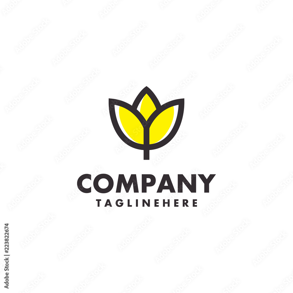 Flower lilly Logo Flower lilly Logo