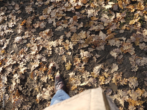 Walking on leaves in Autumn