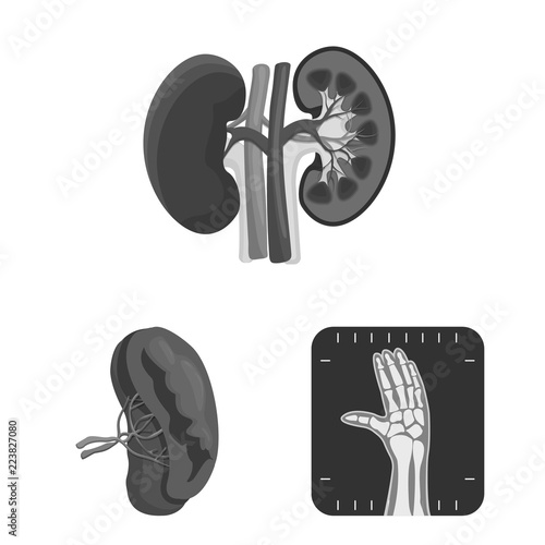 Isolated object of body and human sign. Collection of body and medical stock vector illustration.