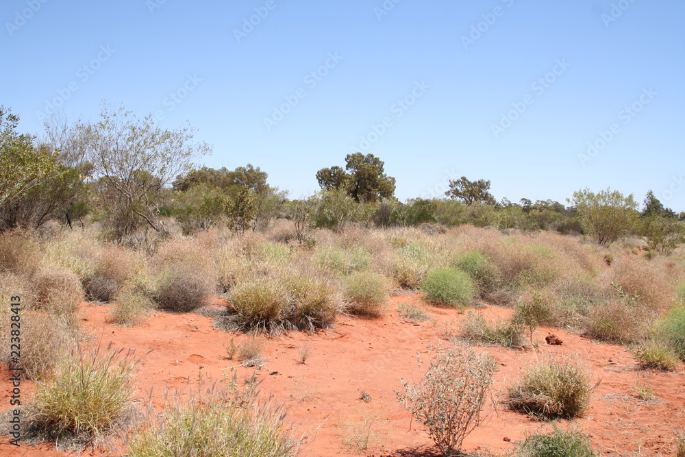 outback landscape in queensland australia