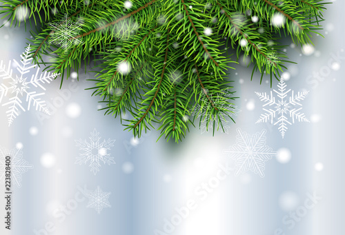 Christmas background pine tree with snow