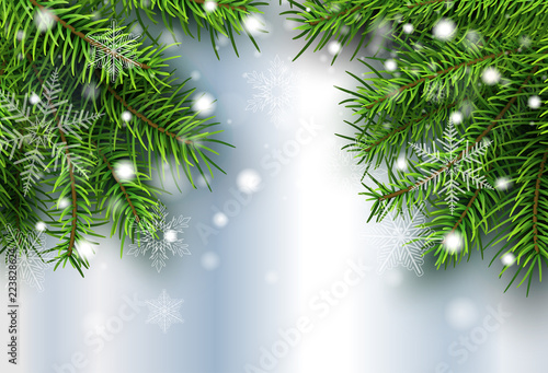 Christmas background pine tree with snow