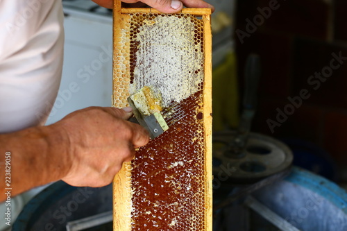honey comb. Beekeeper is uncapping honeycomb with uncapping fork. Beekeeping concept. Authentic lifestyle image. Top view. Free space for text photo