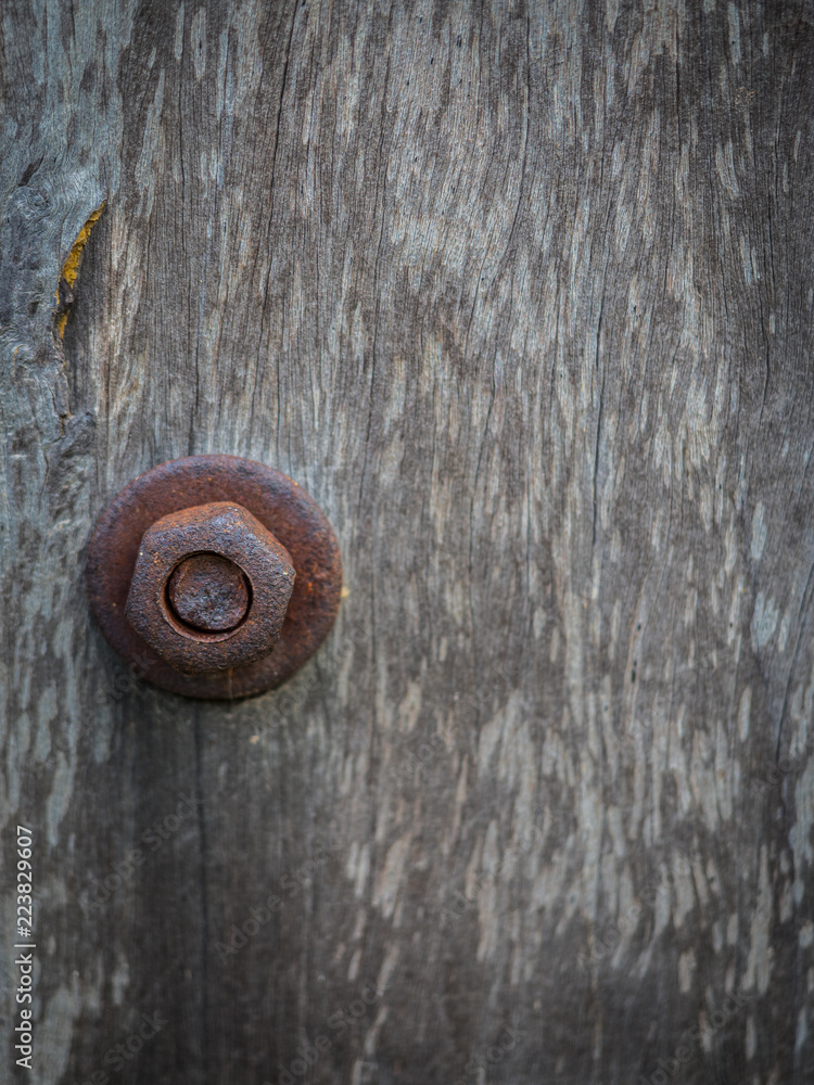 Rusty Nut on Wooden pole Rusty Nut on Wooden pole