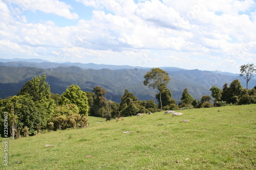 griffith lookout, dorrigo national park