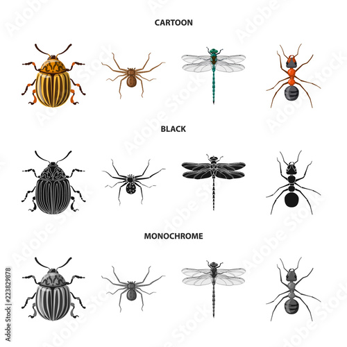 Vector illustration of insect and fly symbol. Collection of insect and element stock symbol for web.
