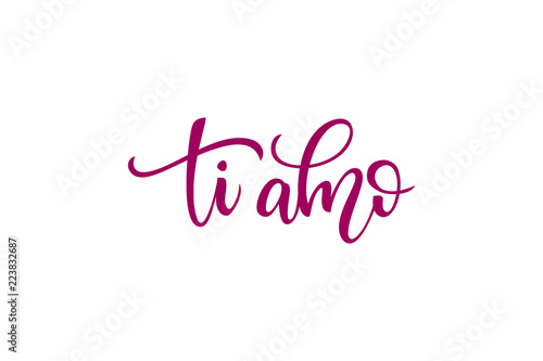Words I love you in Italian. Inscription on white isolated background for greeting cards, invitation cards and banners. Vector illustration with calligraphy.