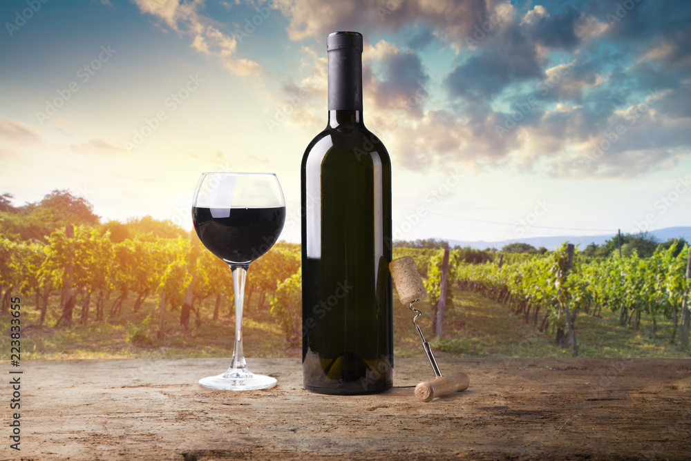 Red wine with barrel on vineyard in green Tuscany, Italy