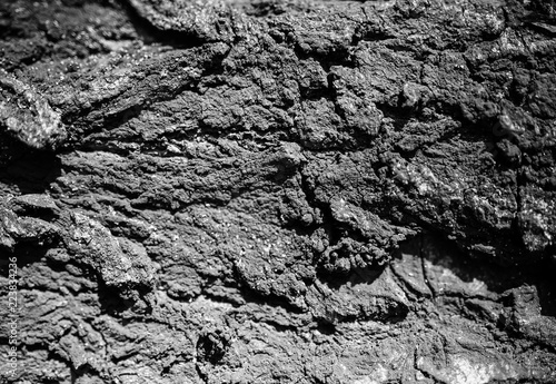 Wallpaper Mural Red bark tree texture background. Torontodigital.ca