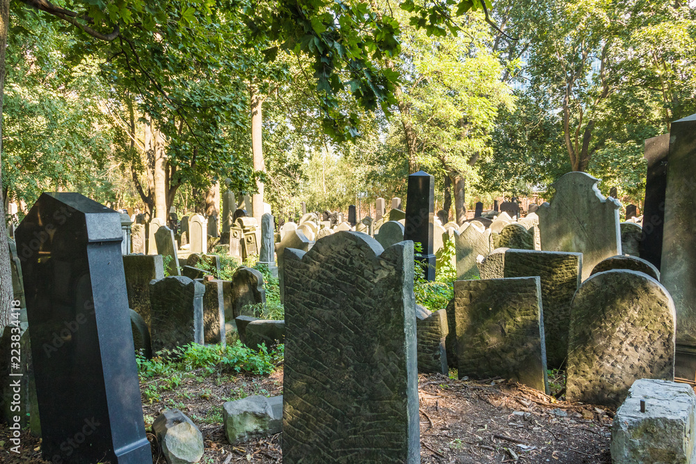 Naklejka premium Warsaw Poland: Matzeva graves at the Jewish Cemetery.. 