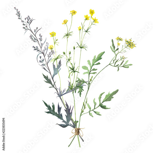 Watercolor bouquet of wild flowers and herbs. Isolated on white background