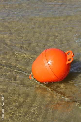 lifebuoy  photo