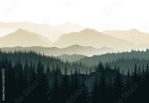 Fototapeta Naklejka Na Ścianę i Meble -  Vector beautiful morning landscape with misty green forests and mountains