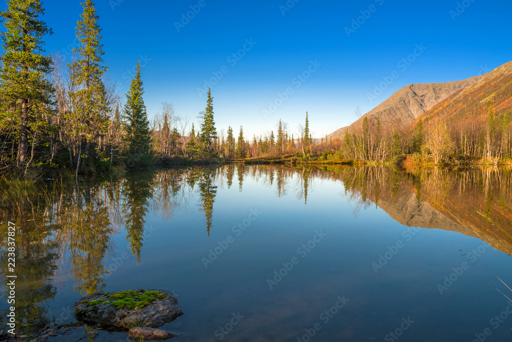 Fall colored larch trees are reflected in a beautiful mountain lake