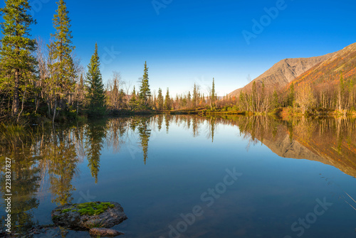 Fall colored larch trees are reflected in a beautiful mountain lake © muph