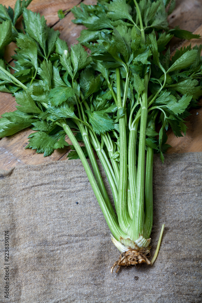 bunch of green celery lies on sacking bunch of green celery lies on sacking