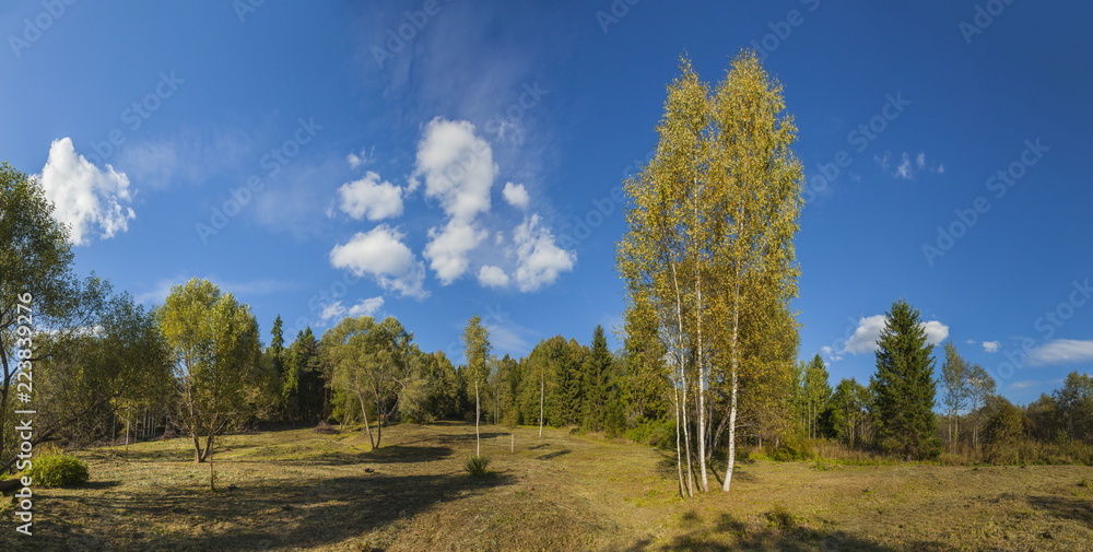Obraz premium Panorama of the autumn forest landscape