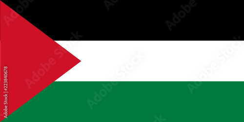 Flag of Palestine photo