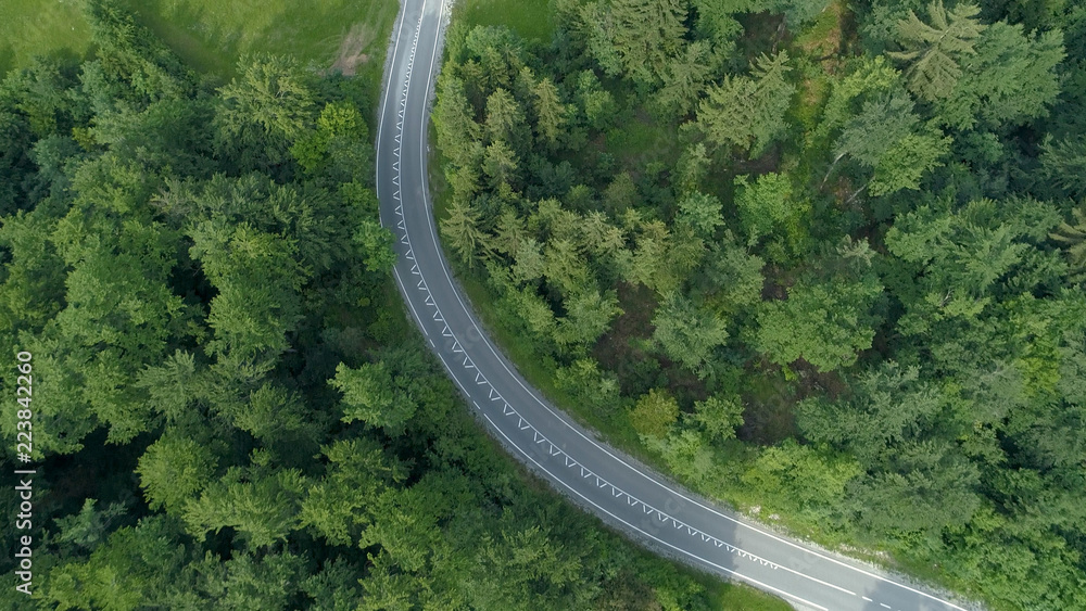 Fototapeta premium TOP DOWN: Flying above an empty asphalt road winding past forests and meadows.