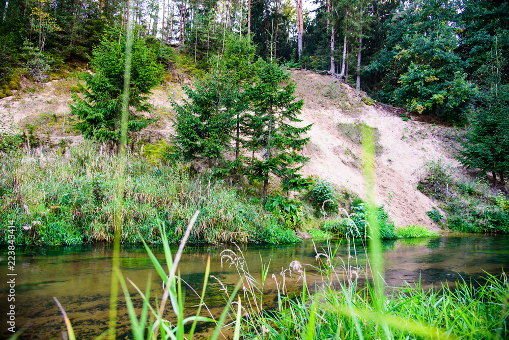 Photo of the picturesque banks of a river in a forest in nature. Photo of the picturesque banks of a river in a forest in nature.