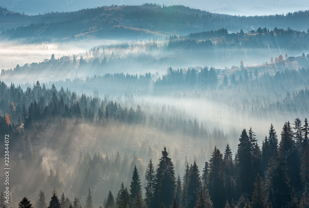 Fototapeta First rays of sun in Carpathians.
