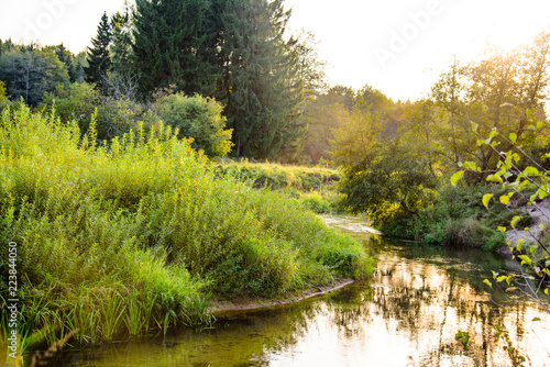 Photo of the picturesque banks of a river in a forest in nature.