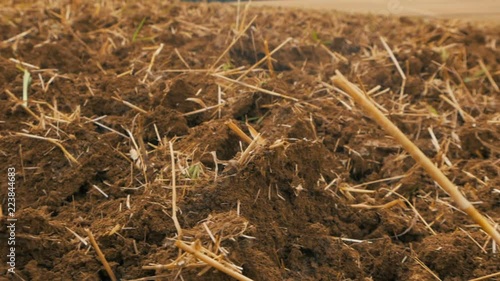 Grain field after disc harrowing