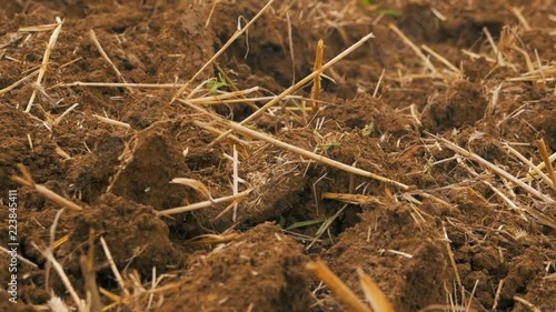 Grain field after disc harrowing