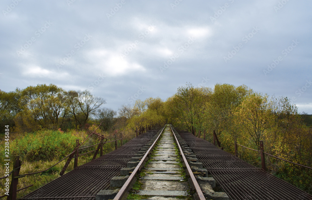 Narrow gauge railroad. Belarus.