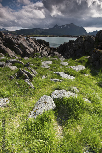 A view on the lofoten mountains in Norway with a green way in the foreground