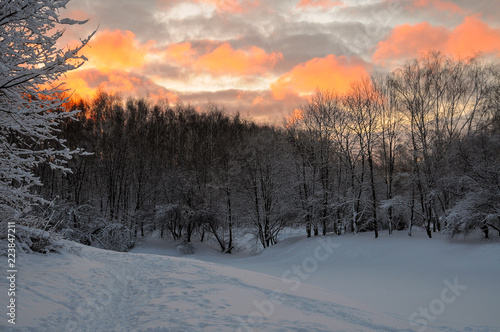 Winter forest at sunset © Николай Батаев