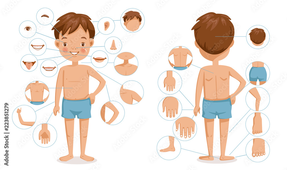 Obraz premium Boy body front view and rear view. Children with different parts of the body for teaching. Body details.The diagram shows the various external. parts of the body. Cartoon vector illustration isolated 