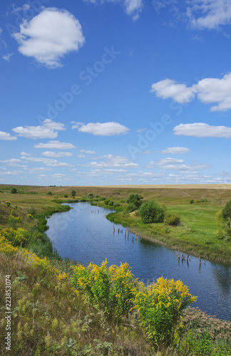 Sunny summer landscape with river curve and growing on the riverbank yellow blooming flowers of solidago virgaurea(european goldenrod or woundwort).Beautiful view of fields,meadows,pastures and woods.