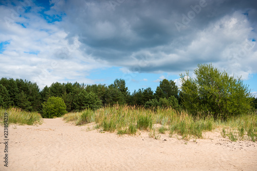 Baltic sea shore in Latvia. Sand dunes with pine trees and clouds
