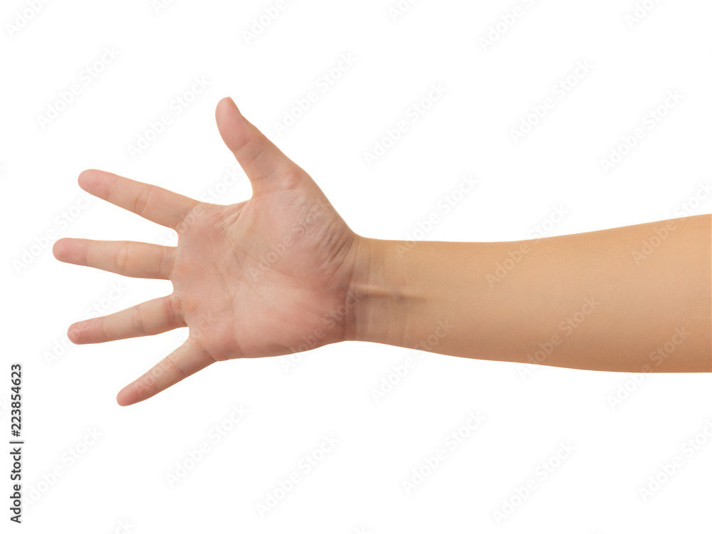 human-hand-in-reach-out-one-s-hand-open-the-palm-of-the-hand-and