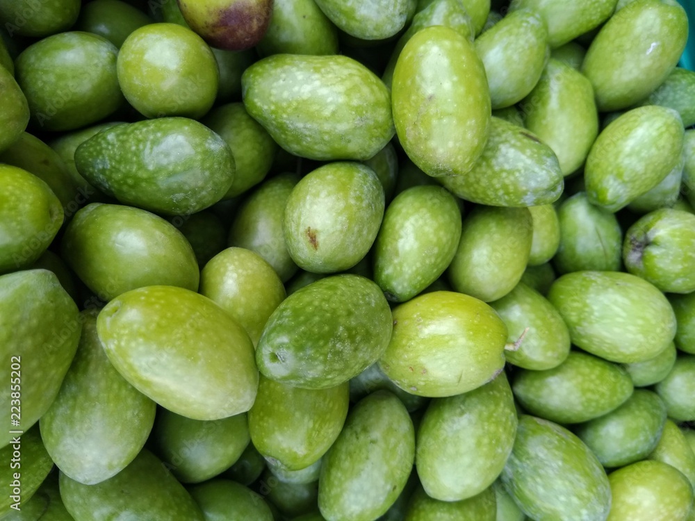 Green olives harvested in autumn Green olives harvested in autumn