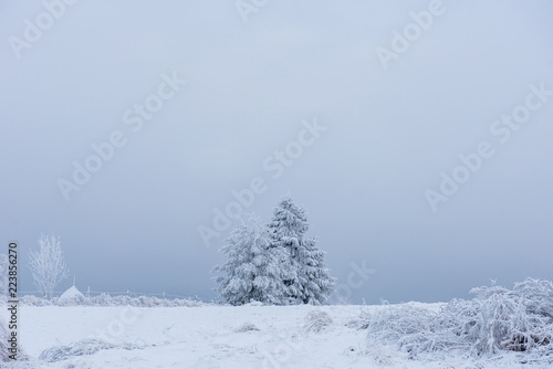 Fairy snowy winter Christmas landscape