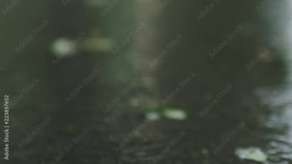 Slow motion leaves floating along the stream after rain Slow motion leaves floating along the stream after rain