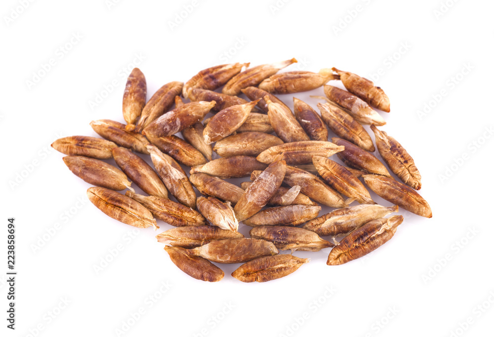 dried fruits seeds from date palm isolated on white background dried fruits seeds from date palm isolated on white background