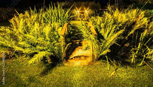 wild meadow-grass at flower bed with small decorative wood bridge at night garden illuminated by lights