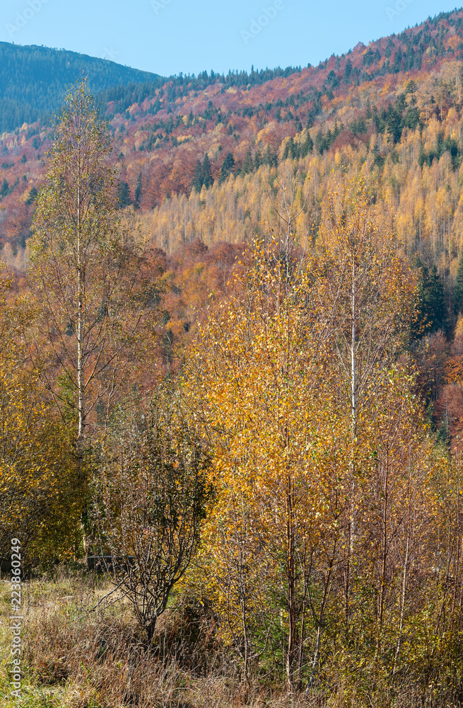 Autumn Carpathians (Ukraine).