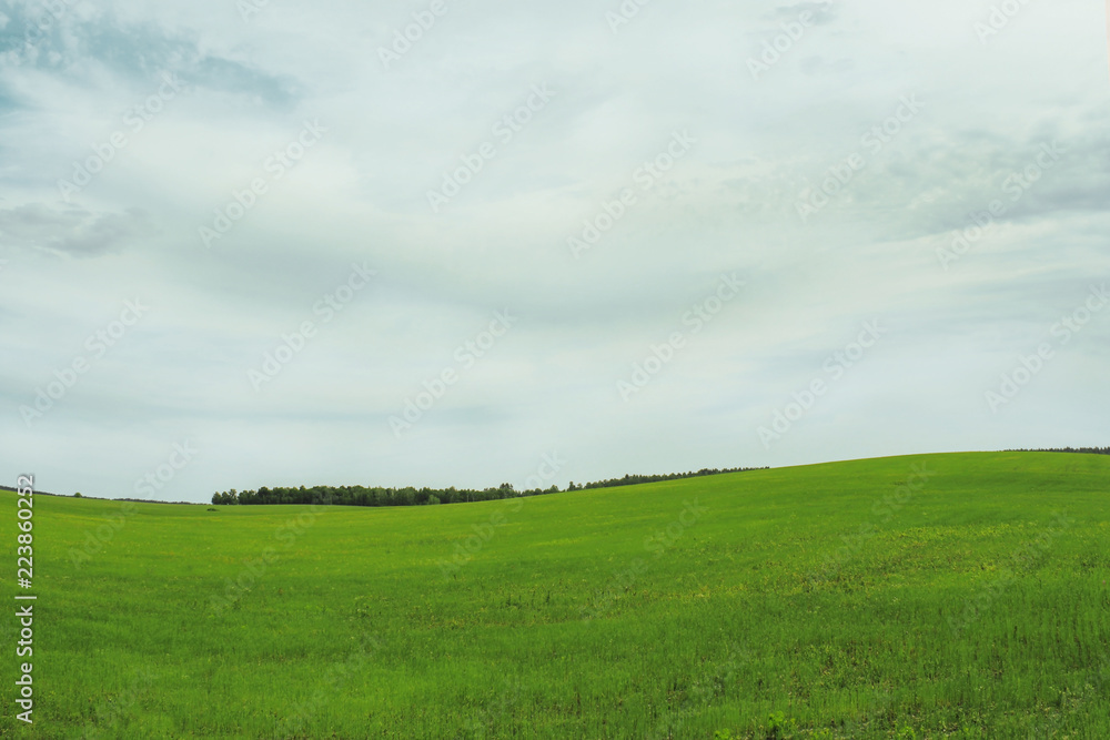 Rural landscape Rural landscape