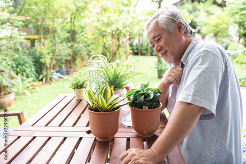 Senior man watering plant in garden on wooden table.